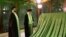 Iranian supreme leader Ayatollah Ali Khamenei (C) and Khomeini's grandson Hassan Khomeini (L) pray inside the shrine of late Iranian Supreme Leader Ayatollah Ruhollah Khomeini. FILE PHOTO