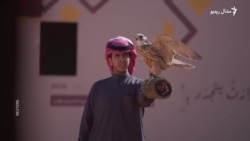 سعودي کې د بازانو د ښکلا او ځغل سيالي