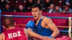 Кыргызстандын бокс боюнча чемпионаты.