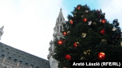 Різдвяна ялинка в центрі Брюсселя