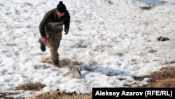 Иногда бегать за зайцем приходилось самому беркутчи. Алматинская область, 23 февраля 2013 года.