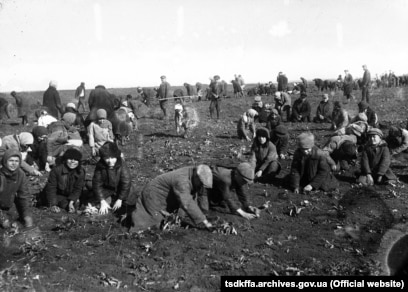 Маловідомі фотографії Голодомору 1932-33 років з архіву імені Пшеничного