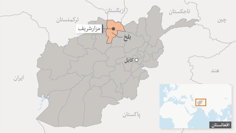 چارواکي: په بلخ کې ۱۱ وسله‌وال طالبان وژل شوي