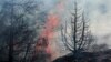 وقوع آتش‌سوزی در چند صد هکتار از جنگل‌های ایران