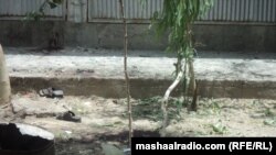 په کندهار کې دوه ځله ځانمرګي بریدونه په پټکیو کې په پټو بمونو شوي