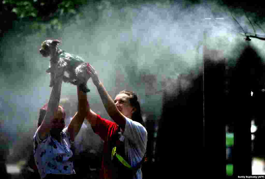 Two women and their dog cool off as water is sprayed on a street in Kyiv during a heatwave. (AFP/Sergei Supinsky)