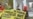 Protests For Jailed Greenpeace Activists