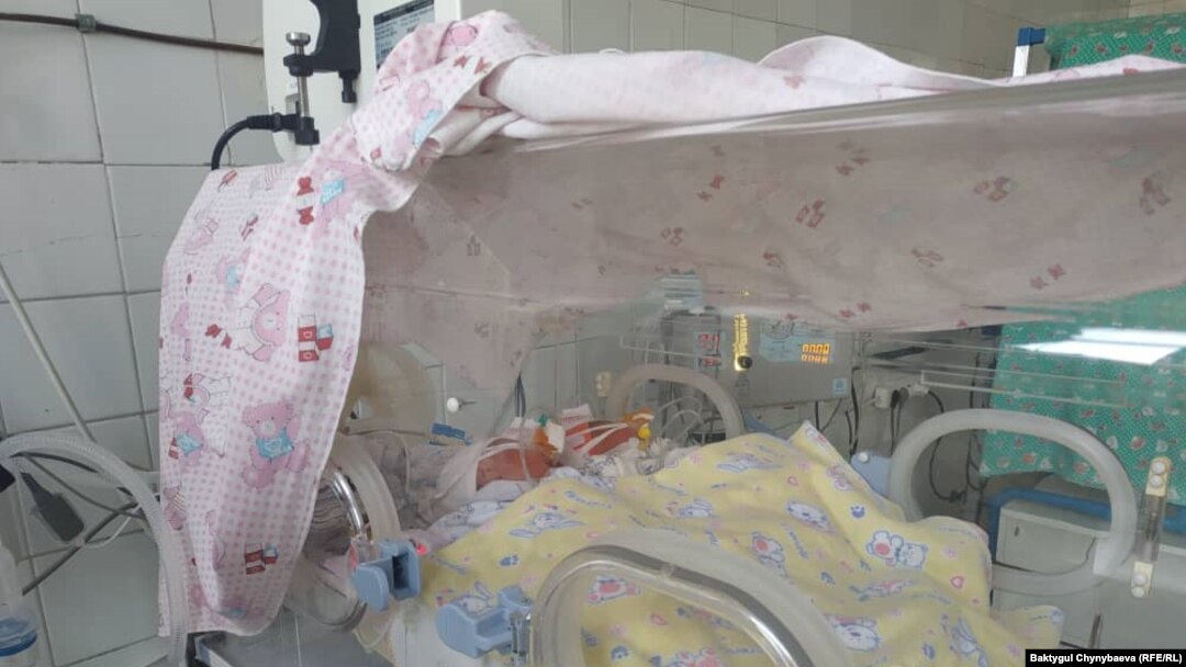 newborn twins