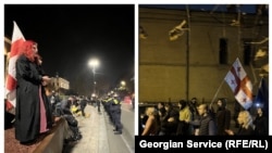 ელენე ბერიკაშვილიც და გია ჯვარშეიშვილიც ანტისამთავრობო გამოსვლების აქტიური მონაწილეები არიან - ორივე მუდმივად საქართველოს დროშით დადის დემონსტრაციებზე. 