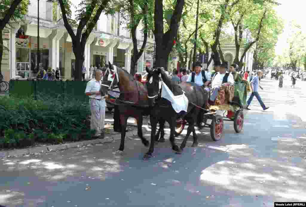 Serbia - Celebration of the harvest, named "Duzijanca", Subotica, 9Aug2015