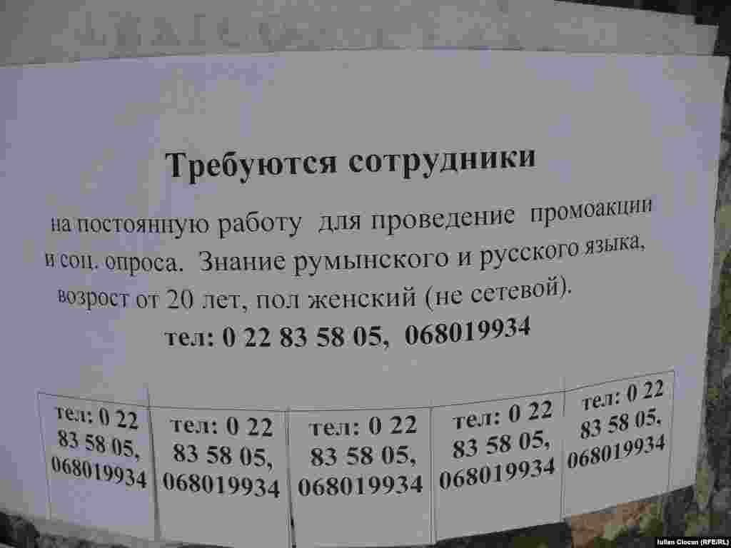 Perspective pentru tinere