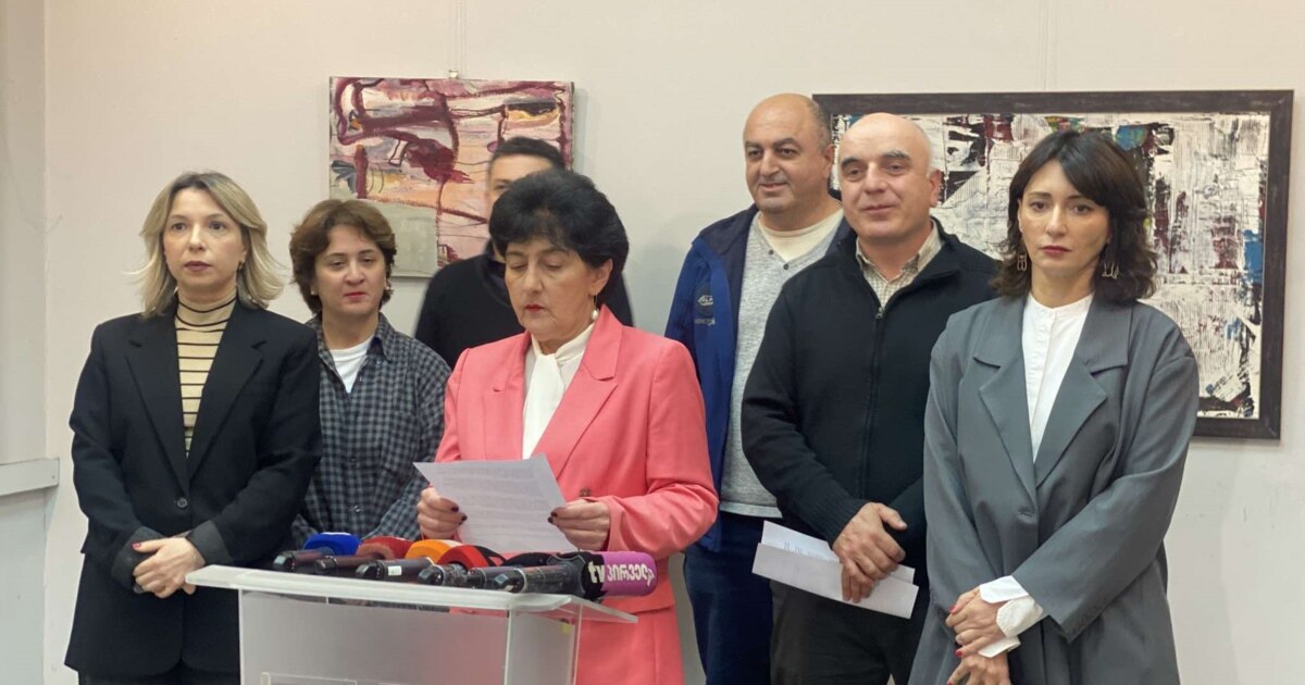 არასამთავრობოები: კოორდინირებული ჩხრეკა შიშის დამკვიდრების მცდელობაა