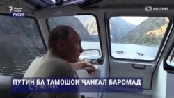 Путин ба тамошои ҷангал баромад