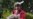 16x9 Image