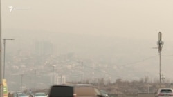 Ավինյանն առաջարկում է կանաչապատում Երևանից դուրս. ընդդիմությունը քաղաքում կտրած ծառերն է հիշեցնում