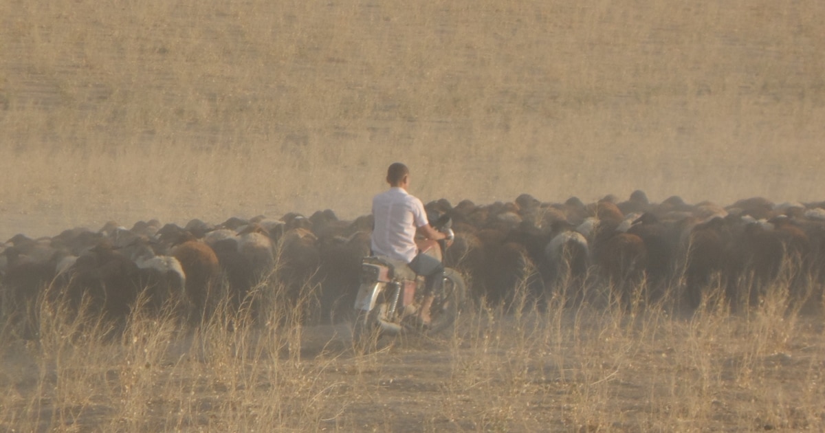 Порно форум оның бастығын алдады Еуропалық кескіндемедегі эротика