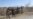 Raid On Taliban Prison Frees At Least 30 In Afghanistan