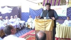په سوات کې هر کال شاوخوا دوه لکه ټنه شفتالو کېږي