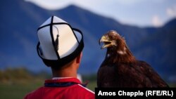 Дөнья күчмә халыклар ярышлары