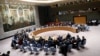 Заседание Совета Безопасности ООН (архив)