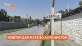 Дар марз бо Афғонистон як шаҳрванди Тоҷикистон кушта шуд