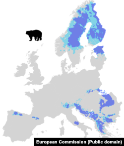 Hartă Comisiei Europene arată unde trăiesc urșii în Europa.