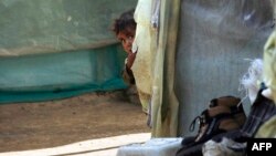 19 апреля в Тбилиси планируется акция под названием «Солидарность ассирийским христианам». Ее организаторы не скрывают удивления: за пару дней этот призыв в Facebook поддержали более 15 тысяч человек