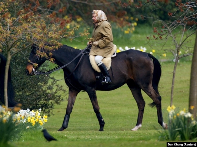 Regina Elisabeta a Marii Britanii călărește pe terenul Castelului Windsor, la trei zile după moartea mamei sale, 2 aprilie 2002.
