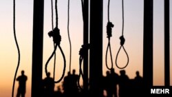 During the first six months of 2022, the Iranian authorities executed at least one person a day on average, the groups said.
