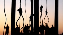 There has been international outcry over the surge in executions in Iran this year.
