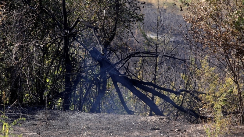 Изгаснат пожарот кај Велес, изгореле 200 хектари шума, фарма и викендичка