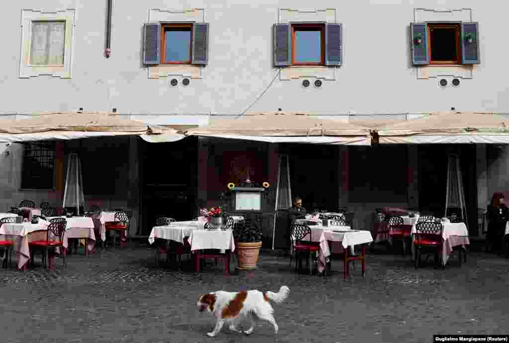 A dog passes in front of an almost empty restaurant in Rome&#39;s Trastevere area after a decree that ordered the whole of Italy on lockdown in an effort to stem the coronavirus. (Reuters/Guglielmo Mangiapane)