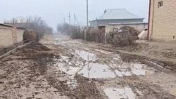 Diňle: Maryda 'lider saparyna' garaşylýar, ýaşaýjylar hallaryndan habar alynmagyny isleýär