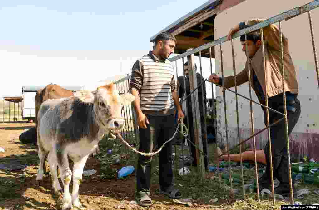 Müştərilərin çoxu bütün bazarı gəzib-dolaşıb ortalama qiyməti biləndən sonra almağa qərar verirlər. 