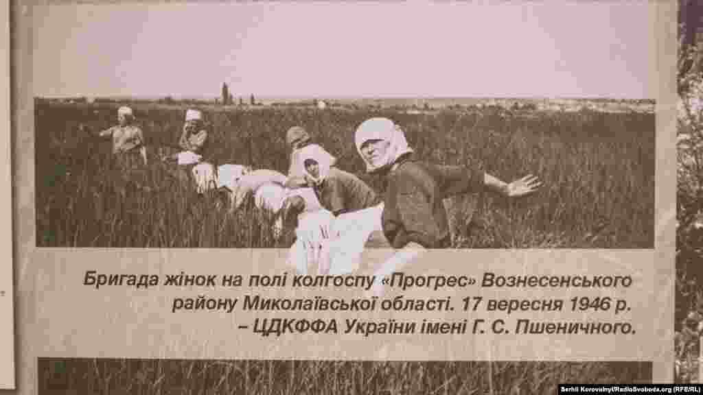 Бригада жінок на полі колгоспу &laquo;Прогрес&raquo; Вознесенського району Миколаївської області