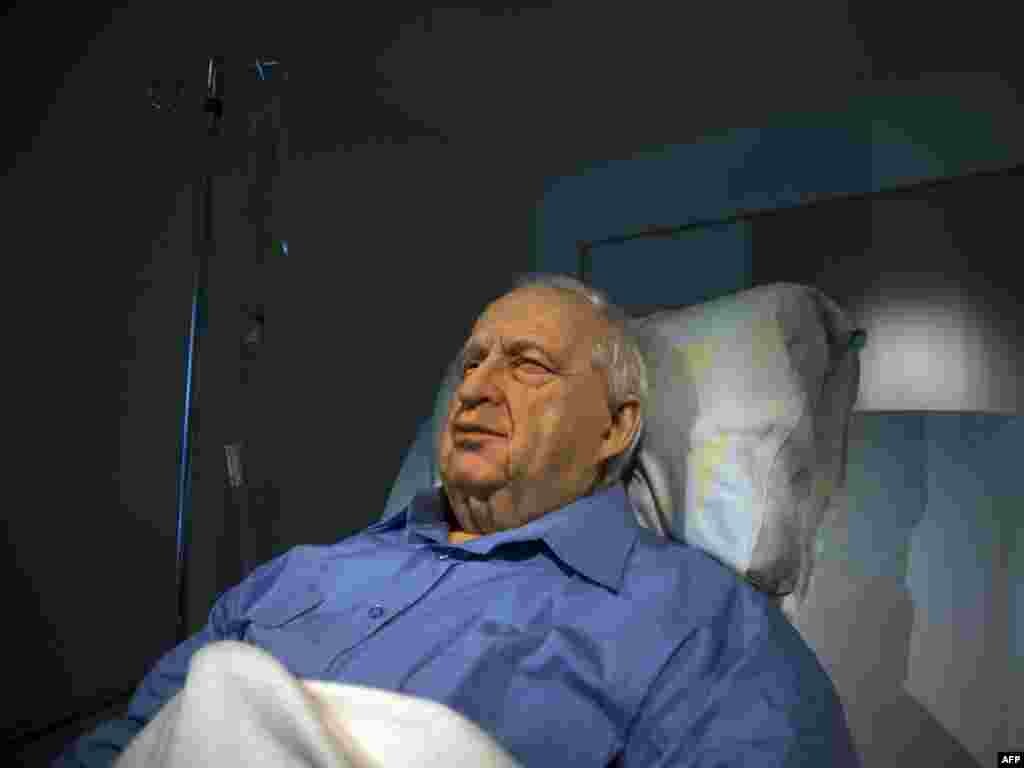Скандальна картина ізраїльського художника Ноама Браславського в одній з галерей Тель-Авіва, на якій зображений колишній прем'єр-міністр Ізраїлю Аріель Шарон на лікарняному ліжку. (Із 2006 року після перенесеного інсульту Шарон перебуває у коматозному стані). Photo by AFP