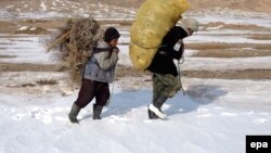 عکس از آرشیف. یک پدر و پسر برای گرم کردن خانۀ شان خس و خاشاک جمع آوری کرده اند.