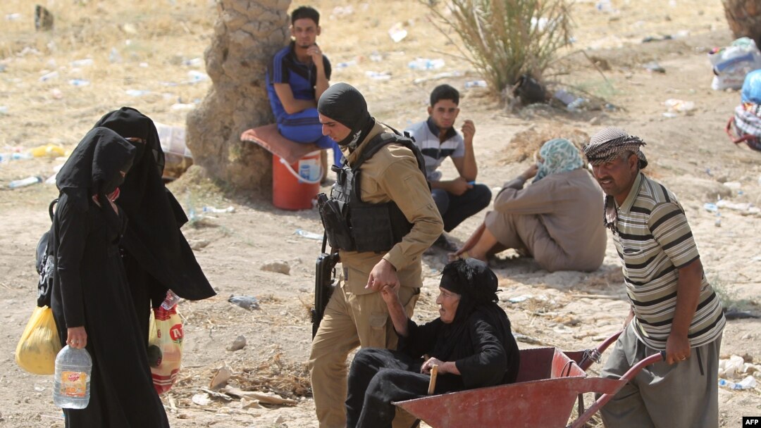 An elderly Iraqi woman who fled from the city of Ramadi is pushed in a wheel barrow on the southwestern frontier of Baghdad on May 22.