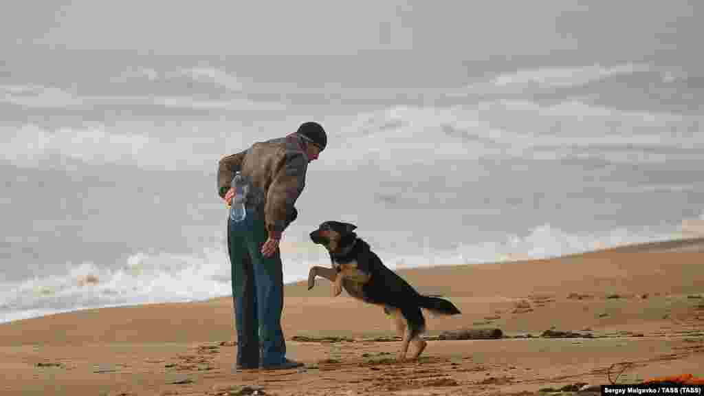 Мужчина играет с собакой на пляже в поселке Береговое