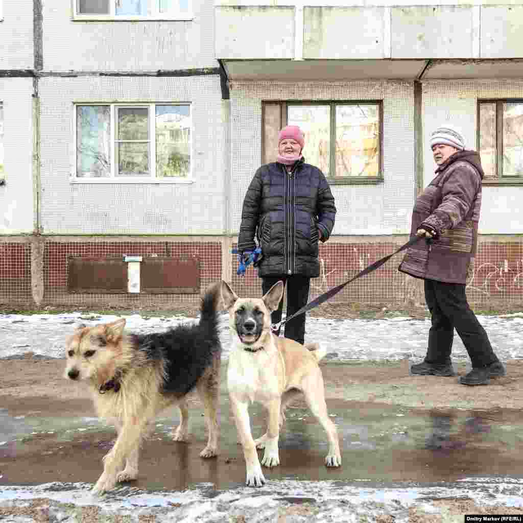 These dogs were two of the most excited characters Markov says he met on election day.