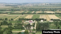 Иллюстрациялык сүрөт. 