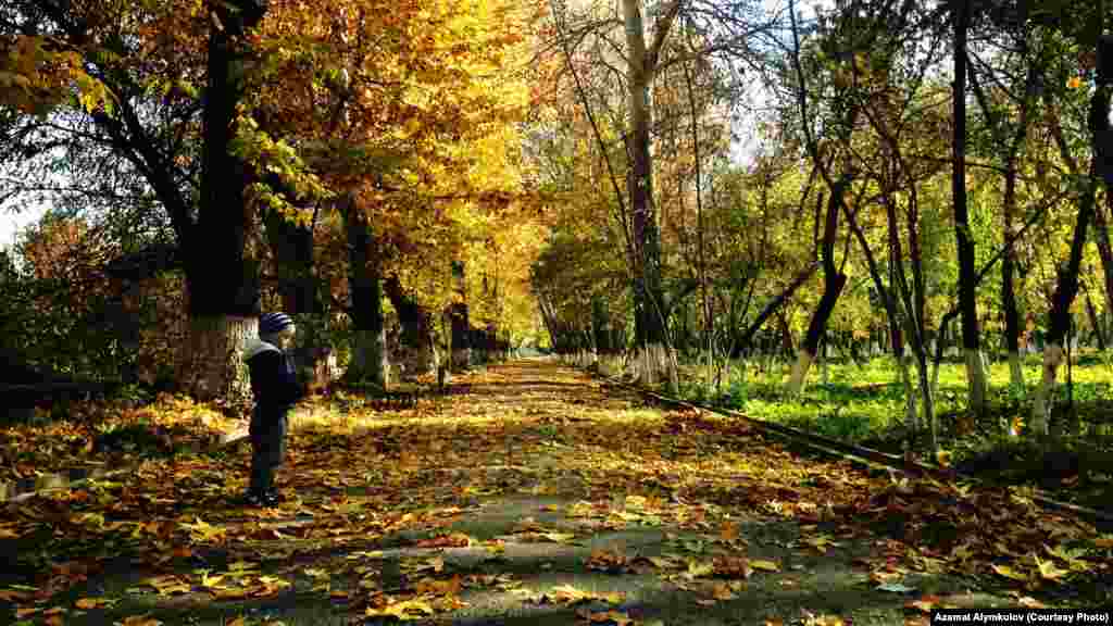 Күзгү жалбыракты тепсеген бала