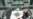 European States 'Colluded' With CIA Abductions