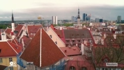 Российский «5 канал» раскритиковал регион в Эстонии за коноплю на символике