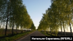 Фота ілюстрацыйнае