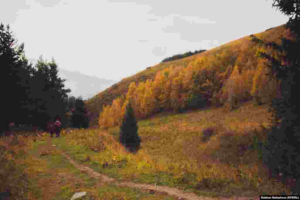 Осенние горы завораживают своими красками.