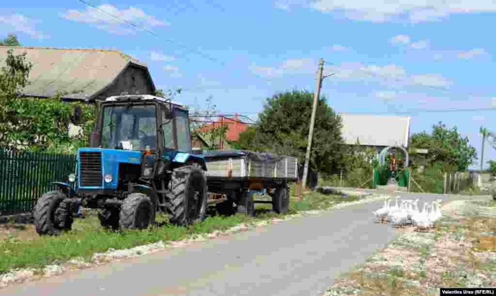 Pe străzile din Cimișlia