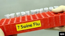 Флаконы для проверки вируса свиного гриппа. Королевская больница Брисбен, Австралия, 29 апреля 2009 года.