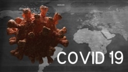 Графическое изображение нового коронавируса, вызывающего болезнь COVID-19.