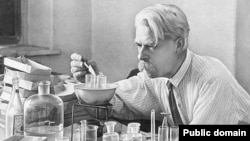 Русский биолог Николай Константинович Кольцов (1871 – 1940) в 1928 году предсказал структуру ДНК